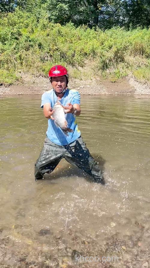 捉鲤鱼最简单的方法？