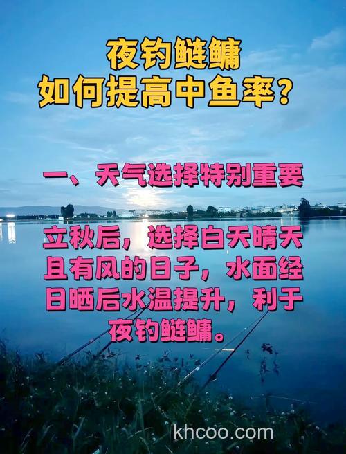 请教一下晚上钓鲢鱼的方法