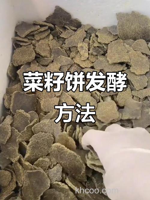 油菜饼做鱼饲料方法？