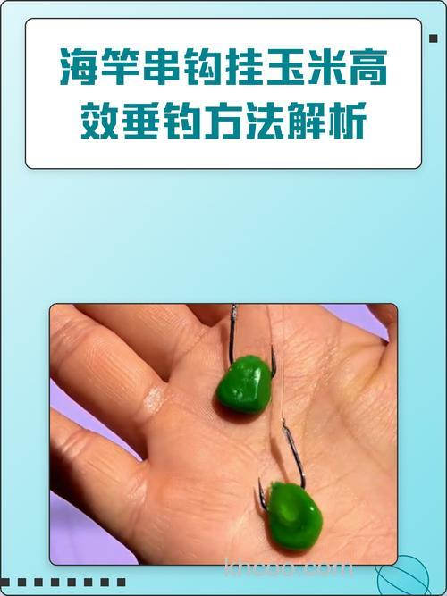 海竿挂玉米怎么钓鲤鱼？
