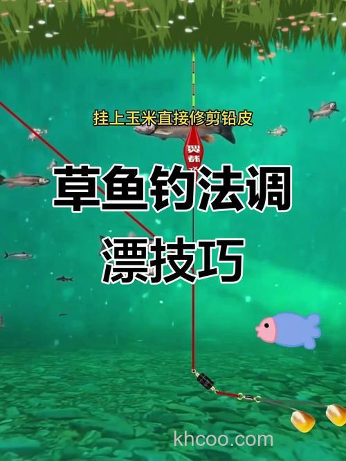 玉米钓草鱼钓离底怎么调漂？