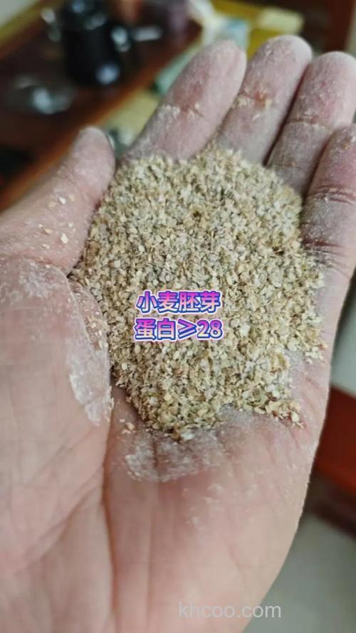 鲢鳙饵料的小麦胚芽比例？