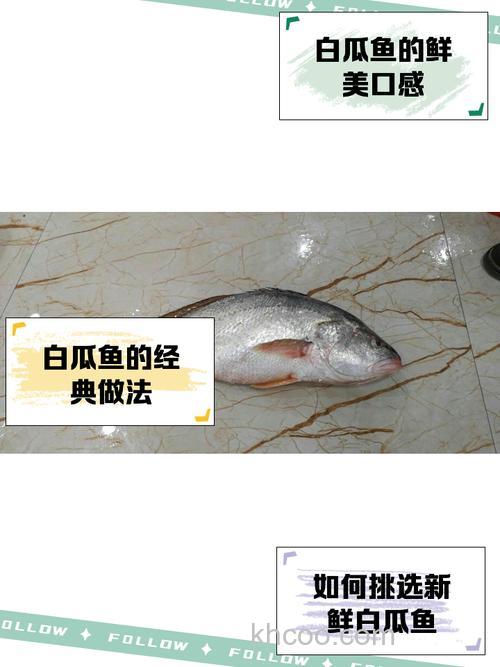 白地瓜能钓鱼吗？