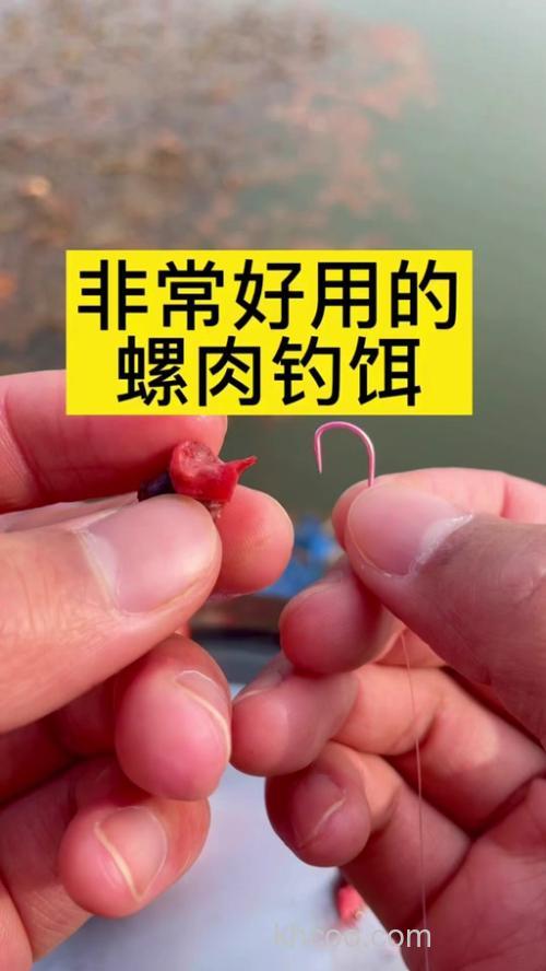 化氏一味鲤螺肉开饵方法？