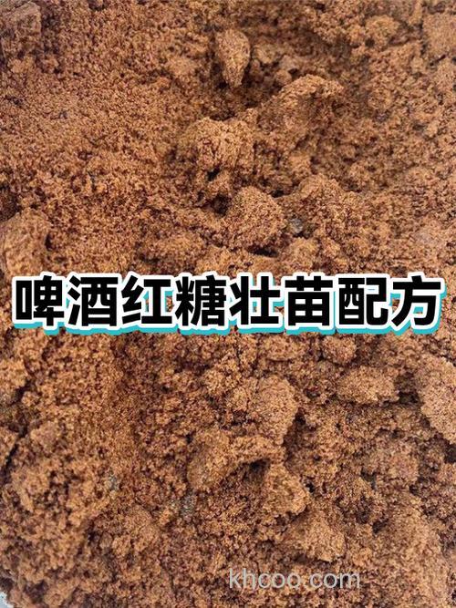 啤酒加红糖合钓鱼饲料要发酵多少天