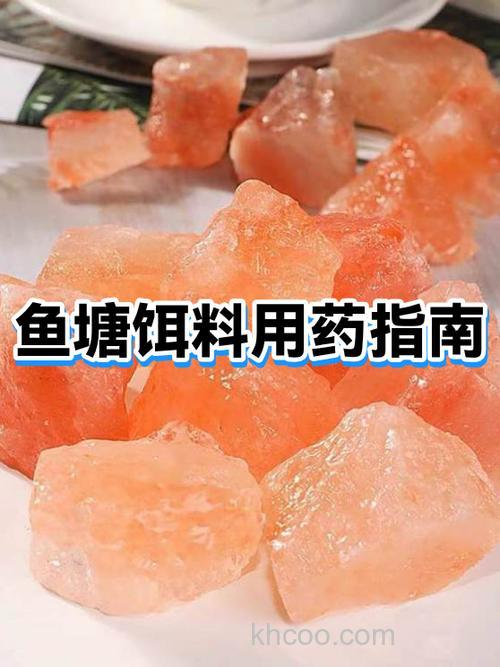 废弃的鱼塘怎样才能钓到大的鱼，求饵料配方？
