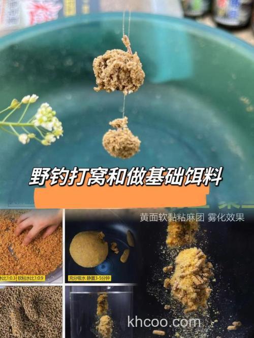 905原塘颗粒能钓什么鱼？