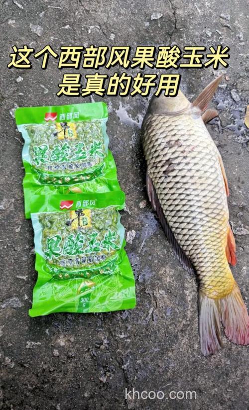 钓草鱼鲤鱼用什么果酸味最好？