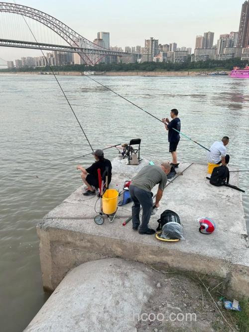 在南宁邕江怎么钓鱼？