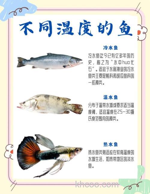 秋季气温17度鱼在深水还是浅水？