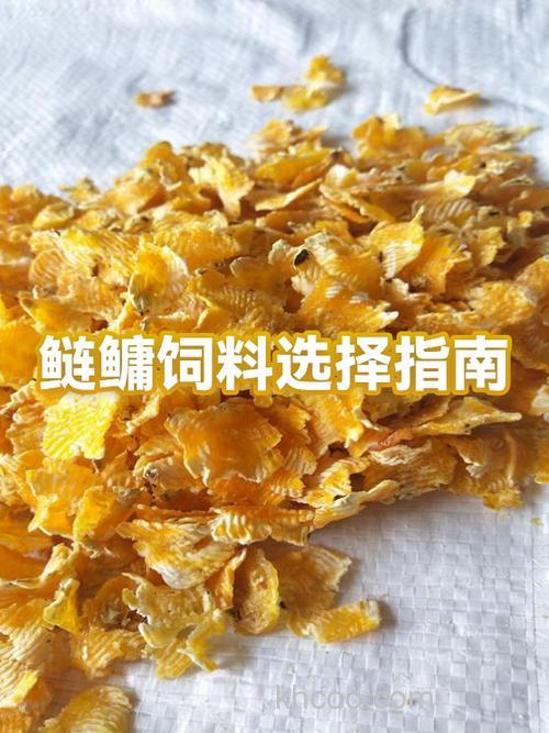 珠江里面怎么钓鲢鳙,用水雷好钓吗?用什么饲料?