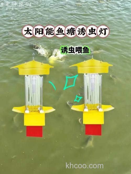 草鱼鱼塘适合诱虫灯喂鱼吗？