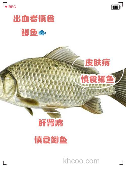 李老师,草鱼饵中的酸味对鲤鱼,鲫鱼有什么影响?