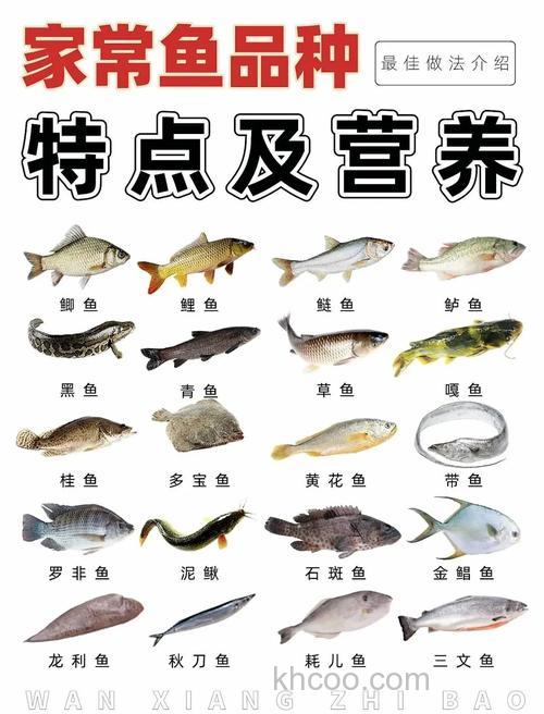 剩饭剩菜适合养什么鱼？