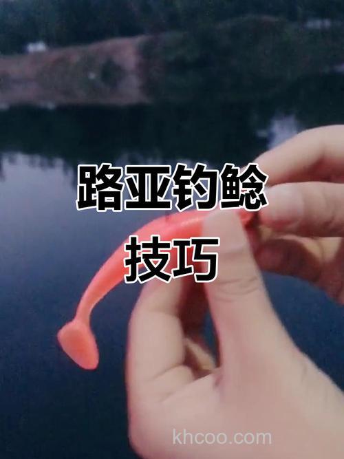 河流里用路亚钓鲶鱼用什么饵？