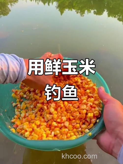 新鲜玉米可以钓什么鱼？