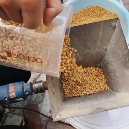 啤酒谷麦制作？