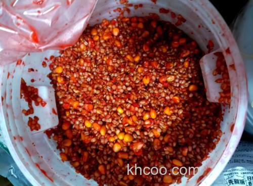 新宣鸡肉可以用来做钓鱼窝料吗?