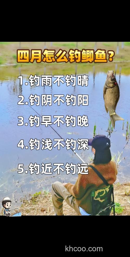 4月鲫鱼怎么钓