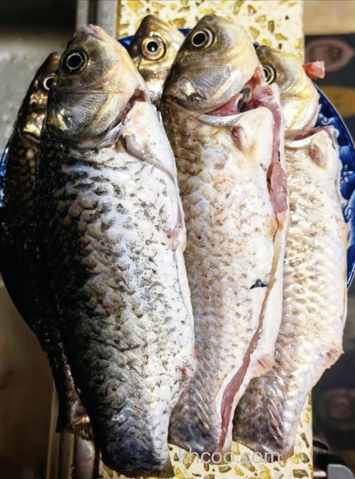 泡菜鲫鱼王刚？