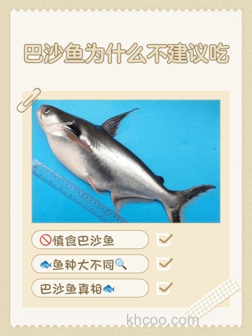 如果你吃了鱼不能吃什么？