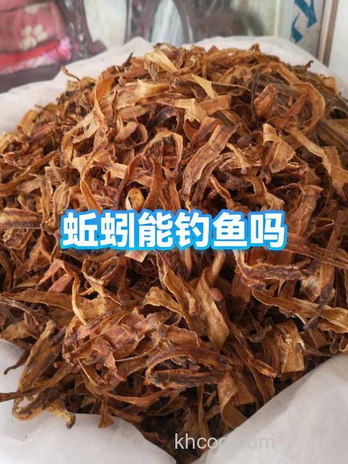 蚯蚓为什么很少钓得到鲤鱼？