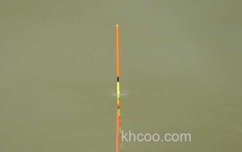 黑坑钓鱼调漂方法_1