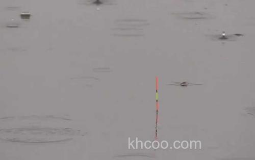 调五目钓三目_2