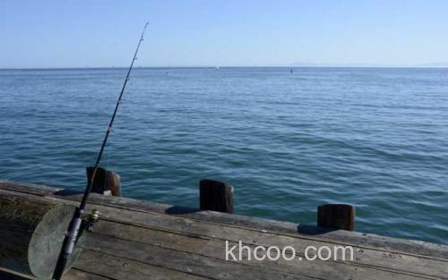 海钓_0