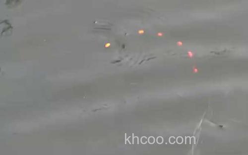 初秋水库钓鱼_1