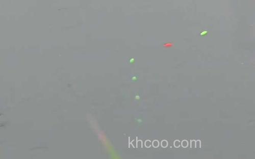 朝天钩钓鲤鱼_3