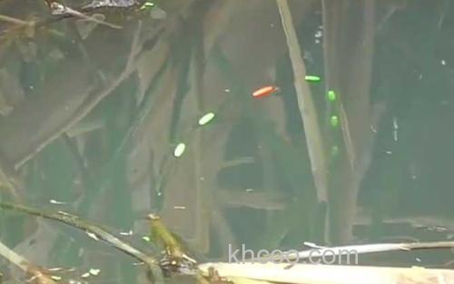 十二月份钓鱼_3