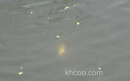 初秋水库钓鱼_2