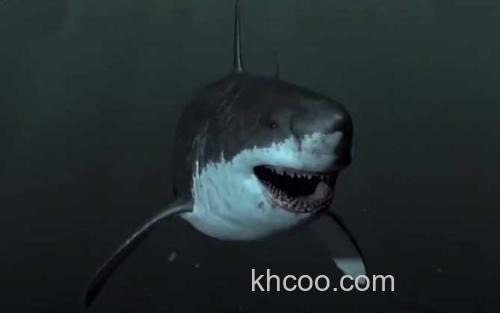 巨齿鲨_3