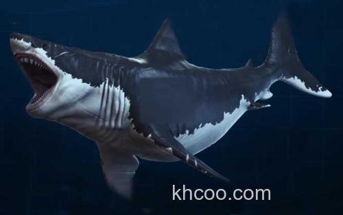 巨齿鲨_1