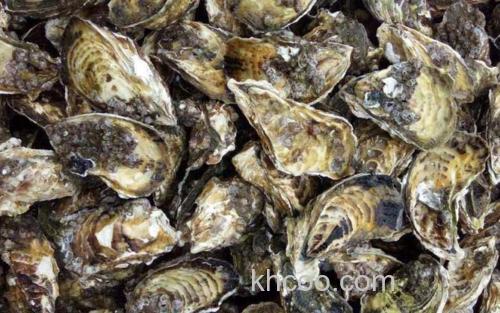 生蚝_0
