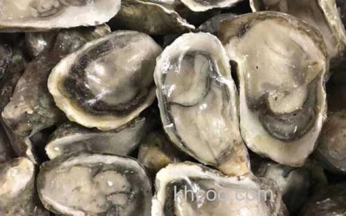生蚝_1