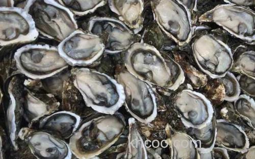 生蚝_3