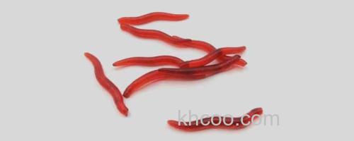 红虫假饵_0