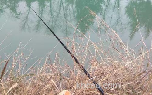 钓鲫鱼_0