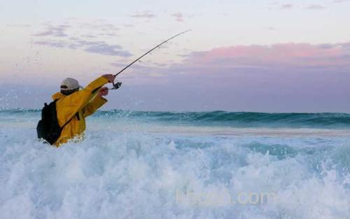钓鱼_4