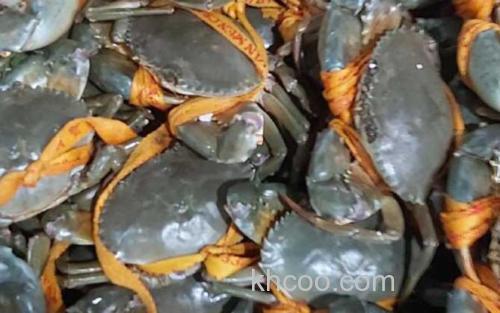 膏蟹_1