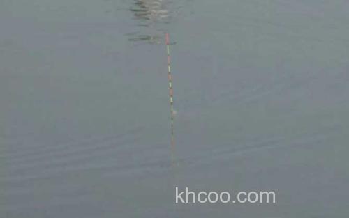 浮漂_0