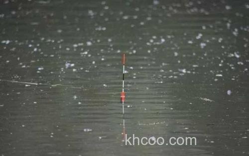 浮漂_5