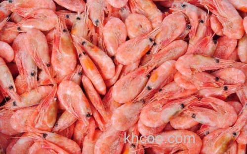北极虾_0