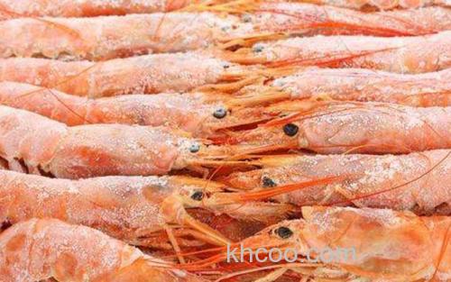 阿根廷红虾_1