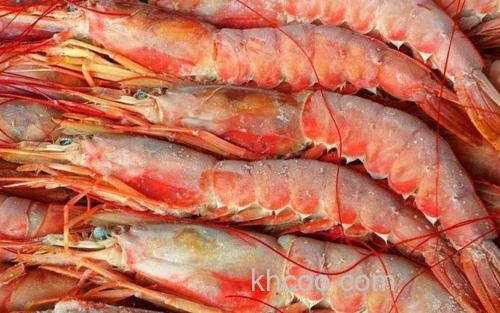 阿根廷红虾_3