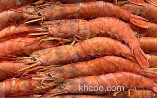 阿根廷红虾_0