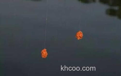 鱼饵怎么挂钩_4