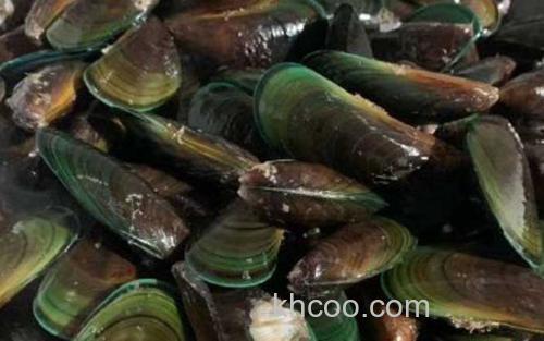 贻贝_0